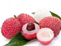 Litchi