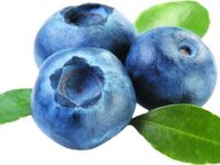 Fresh Blueberry