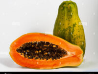 Papaya